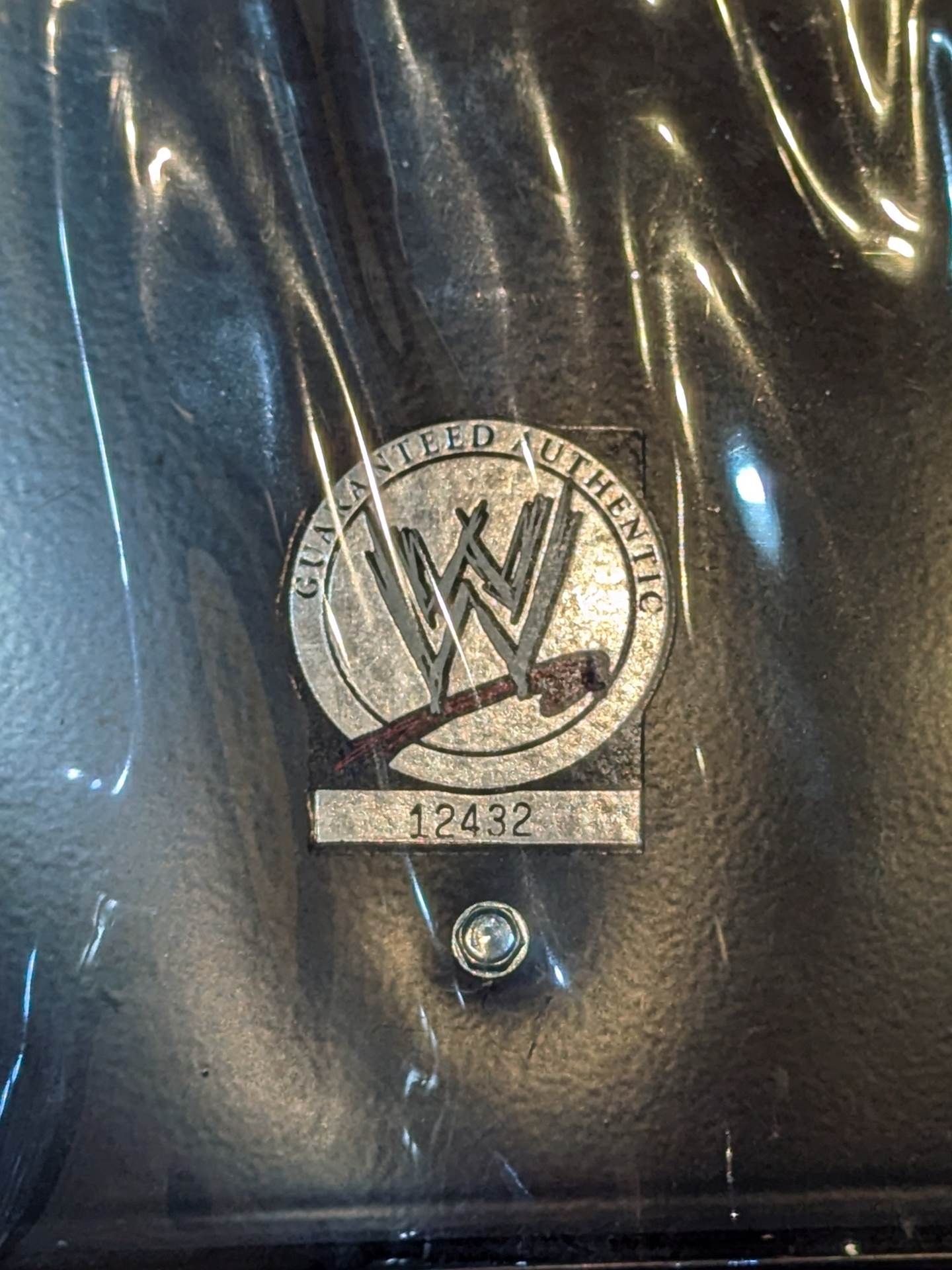 【29名直筆サイン入り】WWE「SURVIVOR SERIES 2008」チェアー