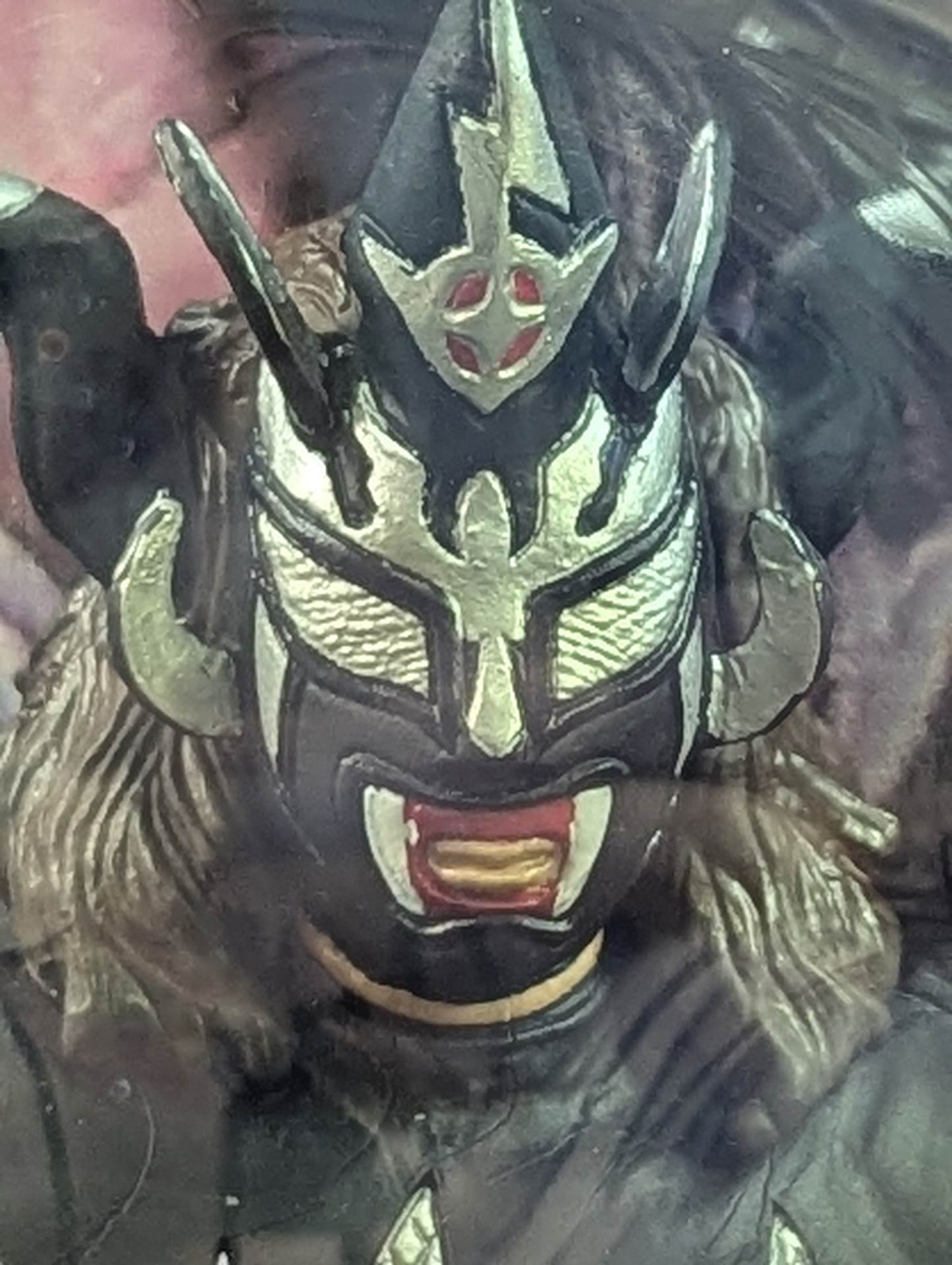 【直筆Wサイン入り】獣神サンダーライガーvsえべイガー(黒)