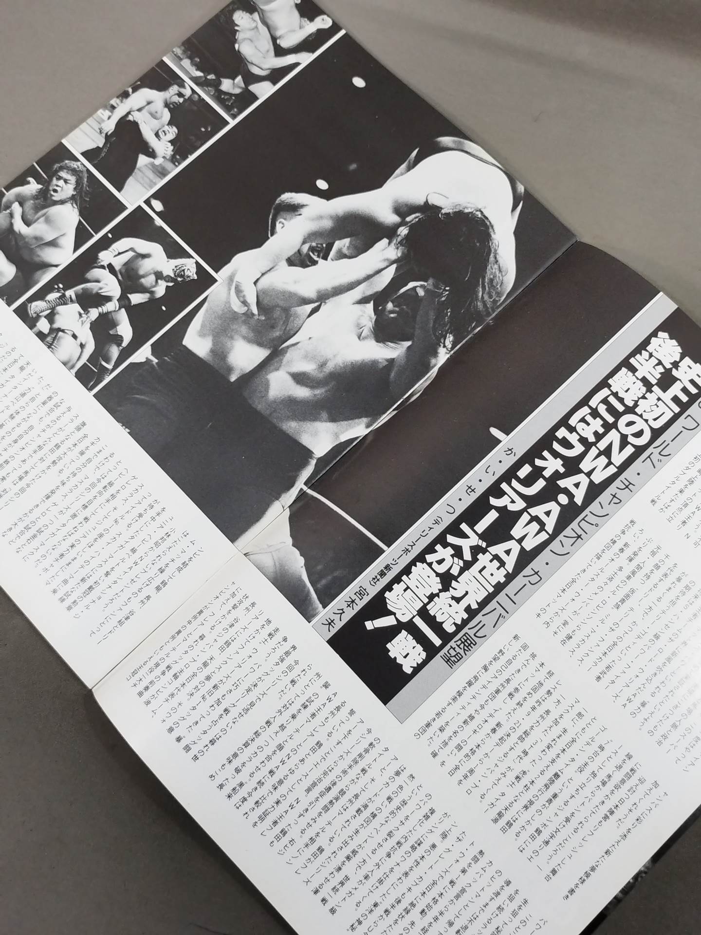 ★NWA&AWA ダブルタイトルマッチ★ 85ワールド・チャンピオン・カーニバル
