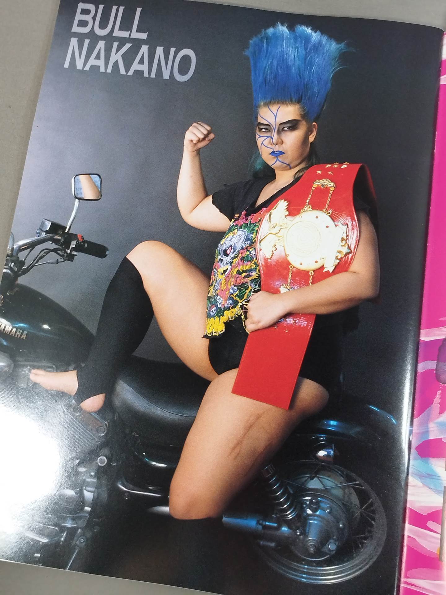 Ringster Program 1992 WINTER SPECIAL (January)