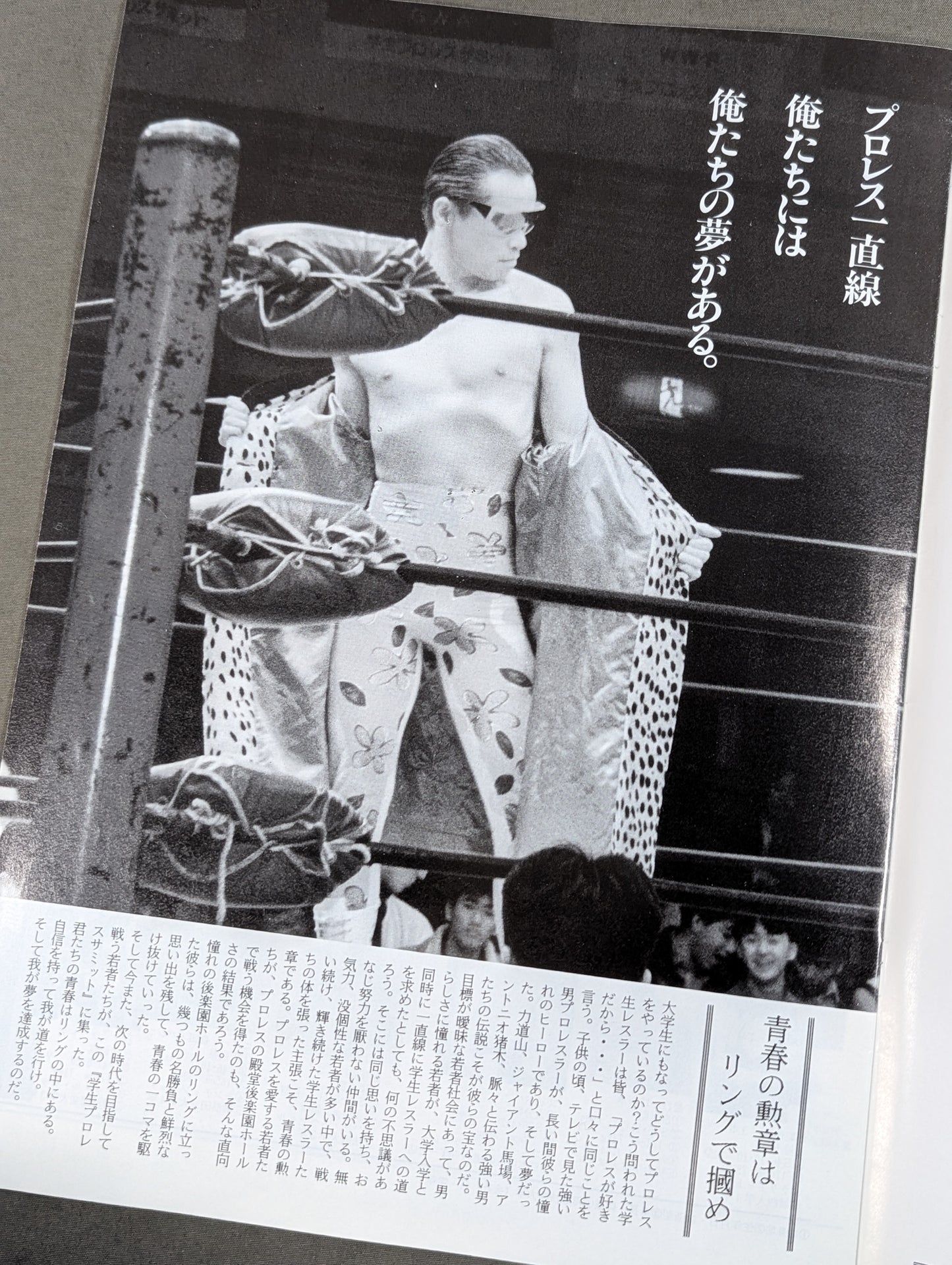 93 Student Pro Wrestling Summit Extra Edition