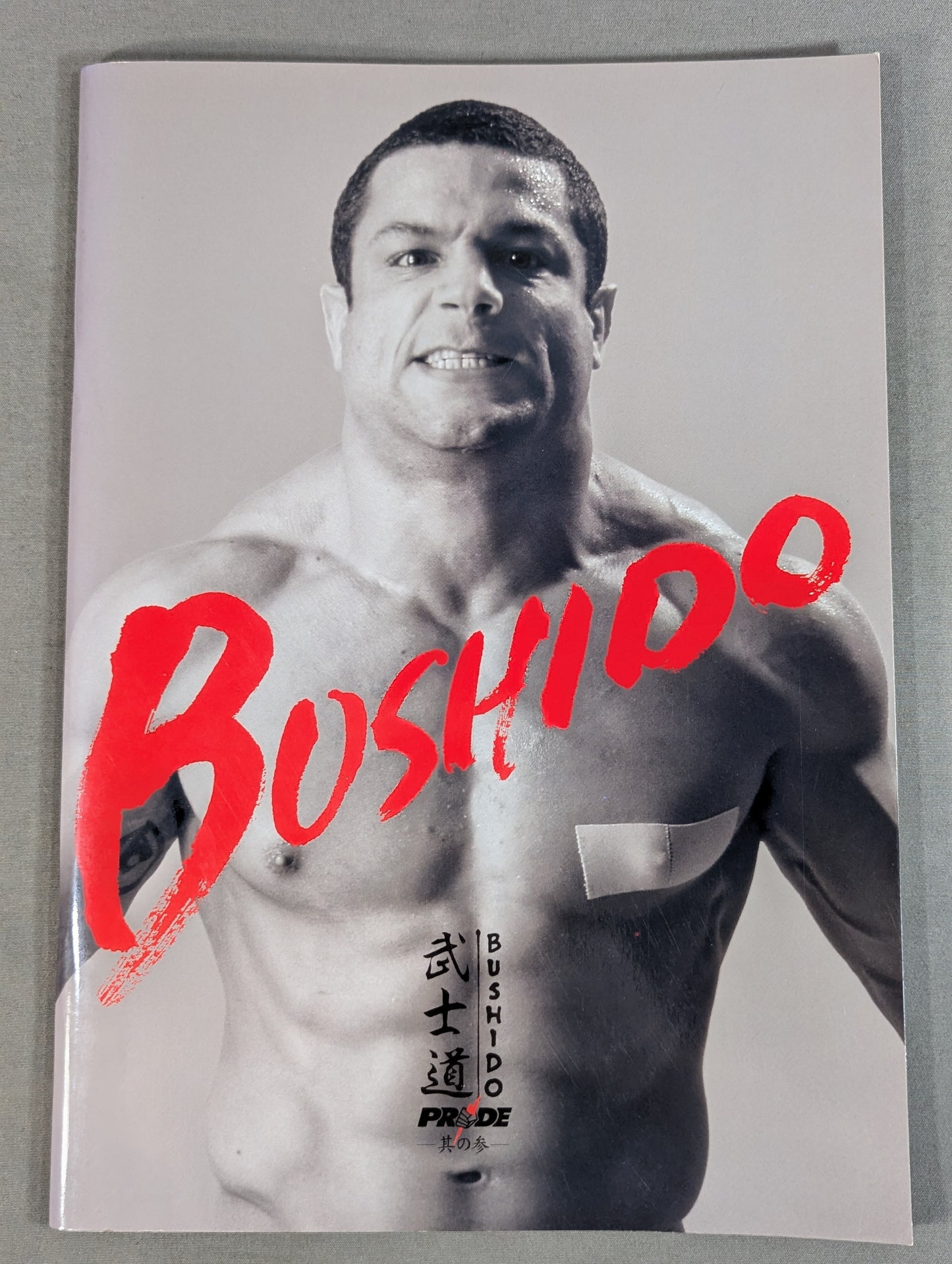 PRIDE Bushido -Its Reference-
