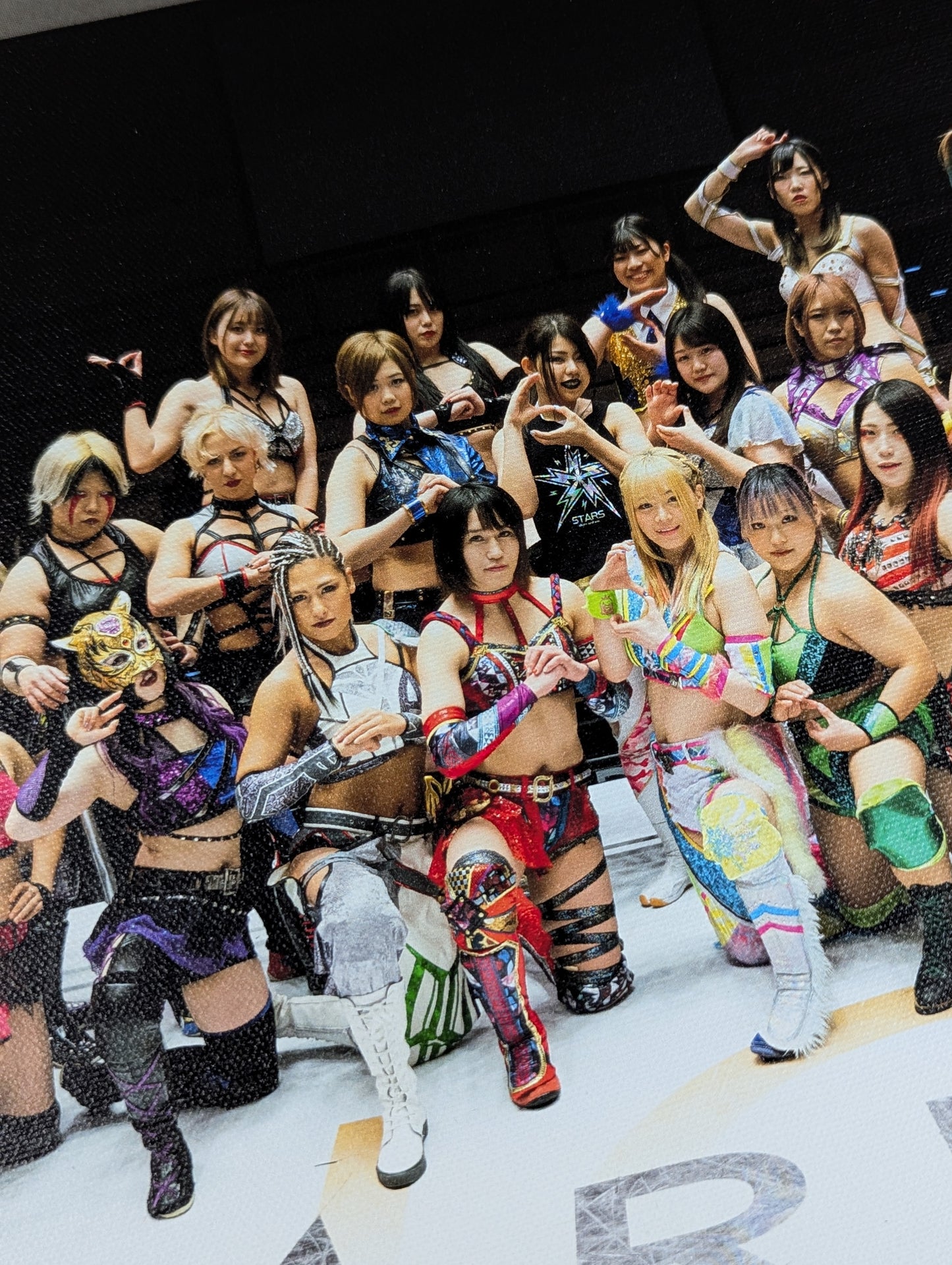 スターダム キャンバスプリント パネル
