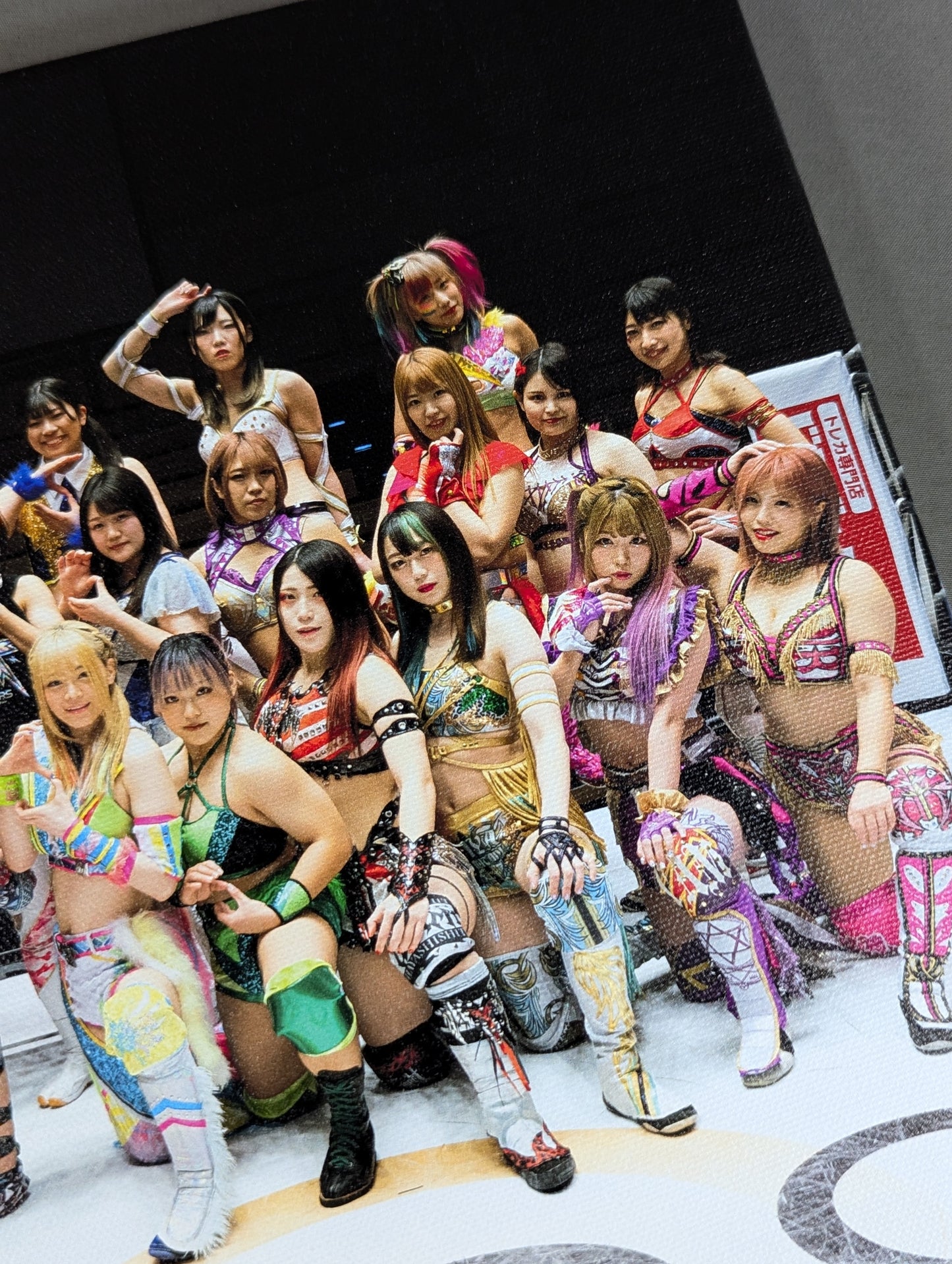 スターダム キャンバスプリント パネル