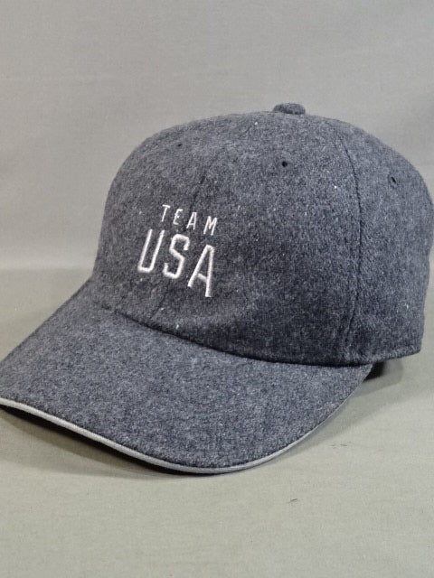 TEAM USA キャップ①(グレー)