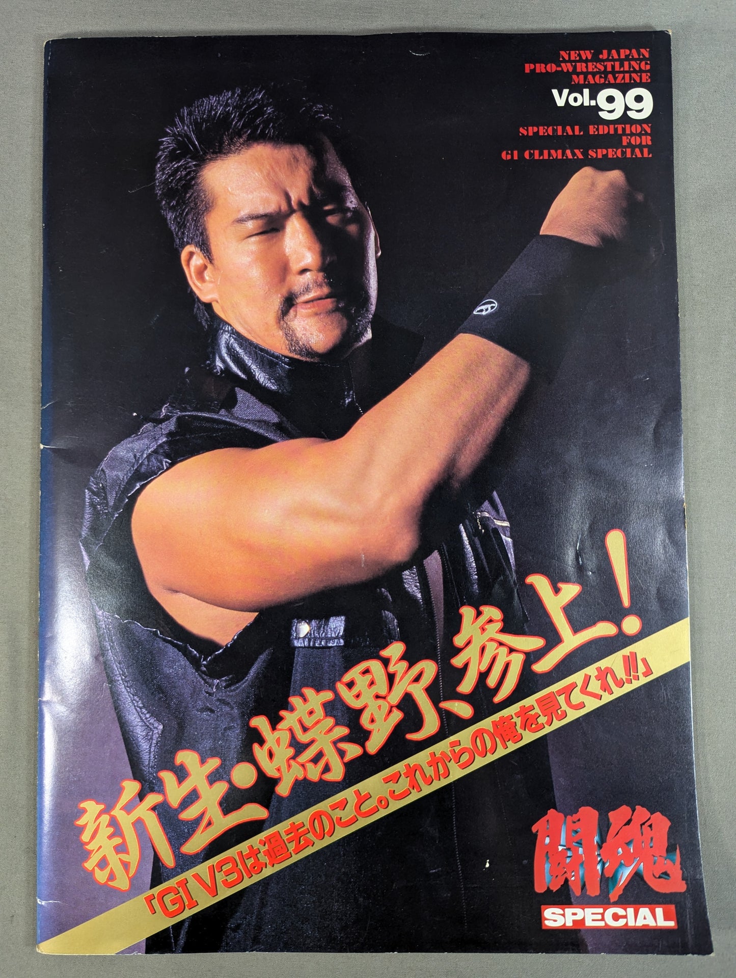 Fighting Spirit Special 99