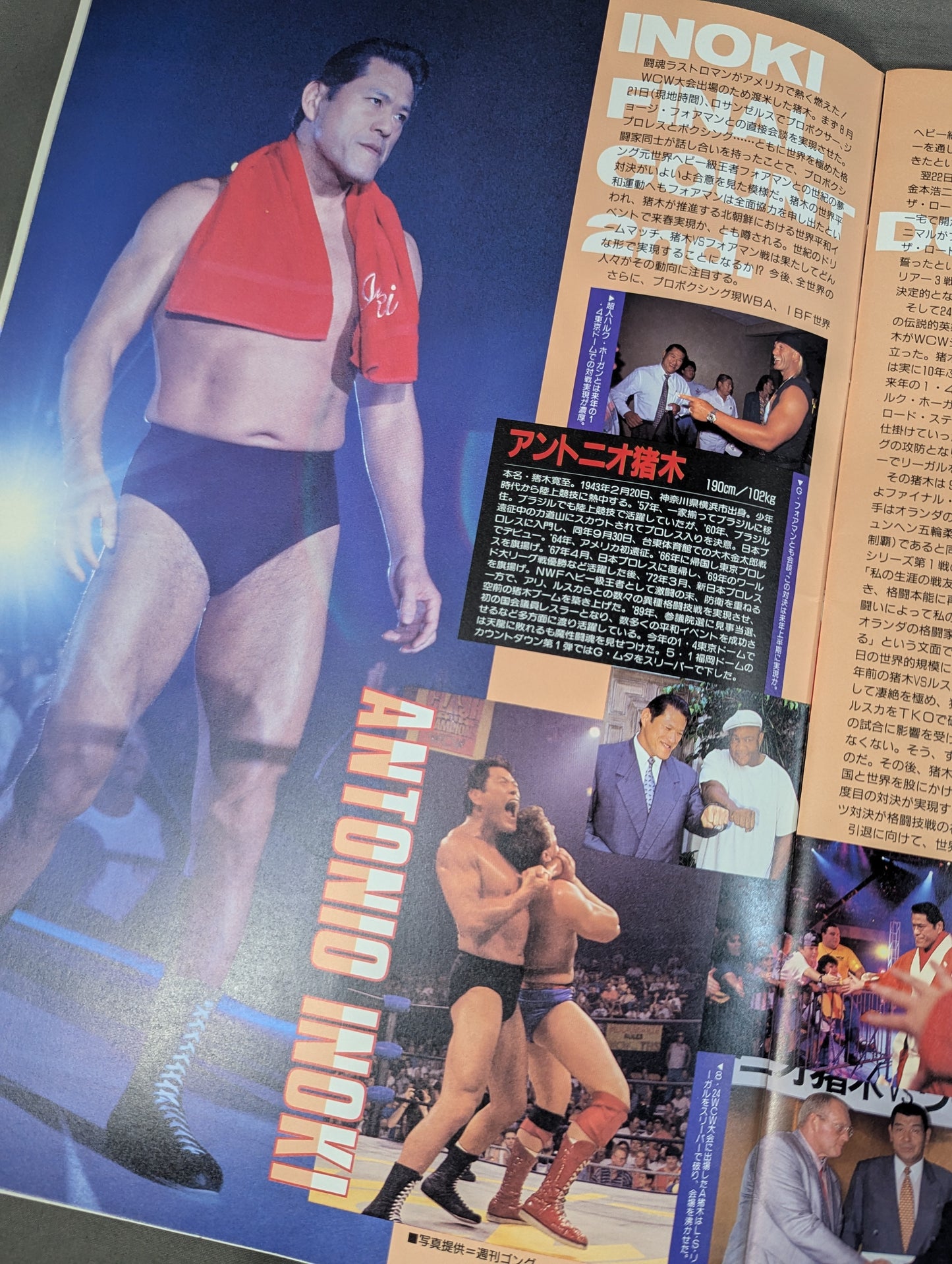 Fighting Spirit Special 99