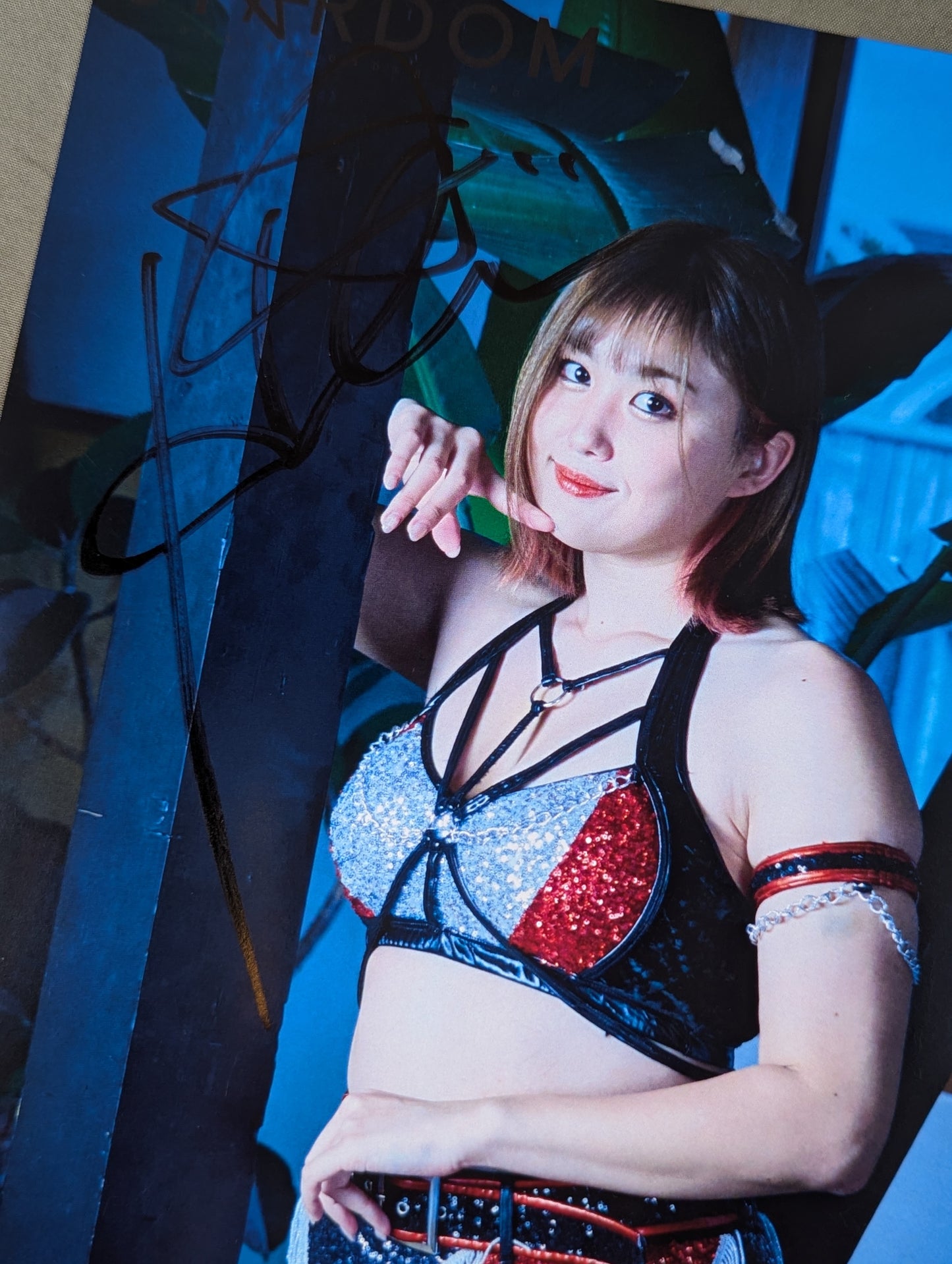 ひめか 直筆サイン入り スターダムポートレート(Q-2)