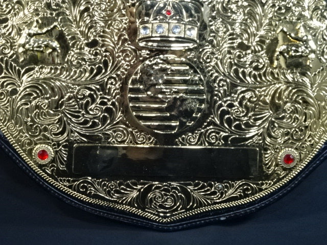 ★Big Gold World★ Heavyweight Championship Belt (WWE Version)