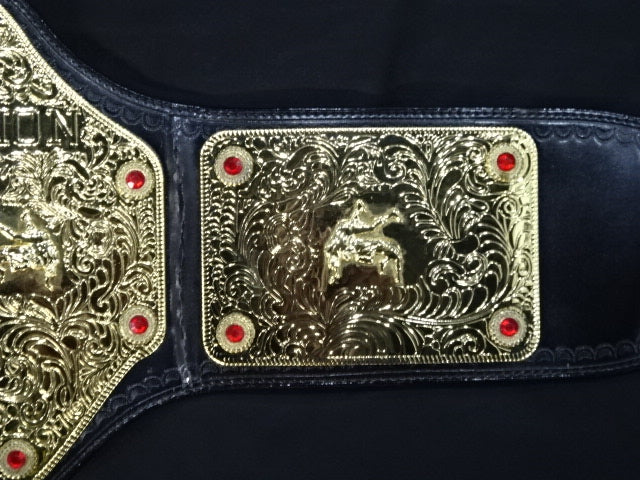 ★Big Gold World★ Heavyweight Championship Belt (WWE Version)