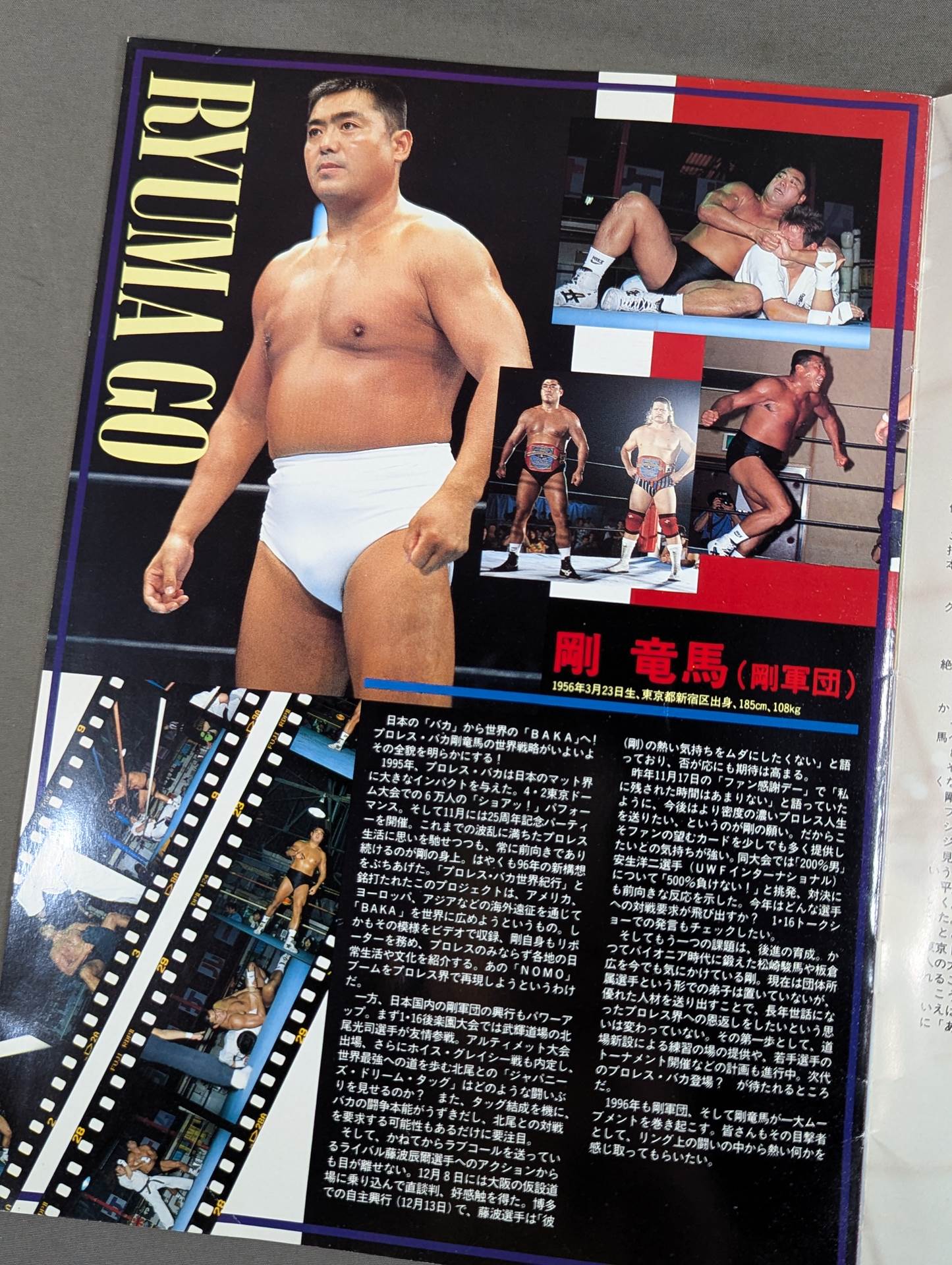 剛竜馬 プロレス25周年記念