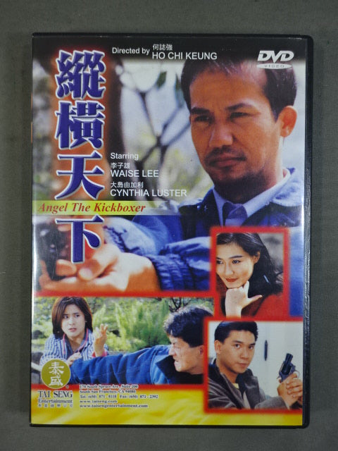 縱横天下 ANGEL THE KICKBOXER