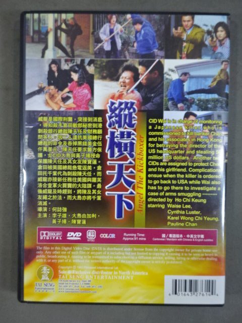 縱横天下 ANGEL THE KICKBOXER