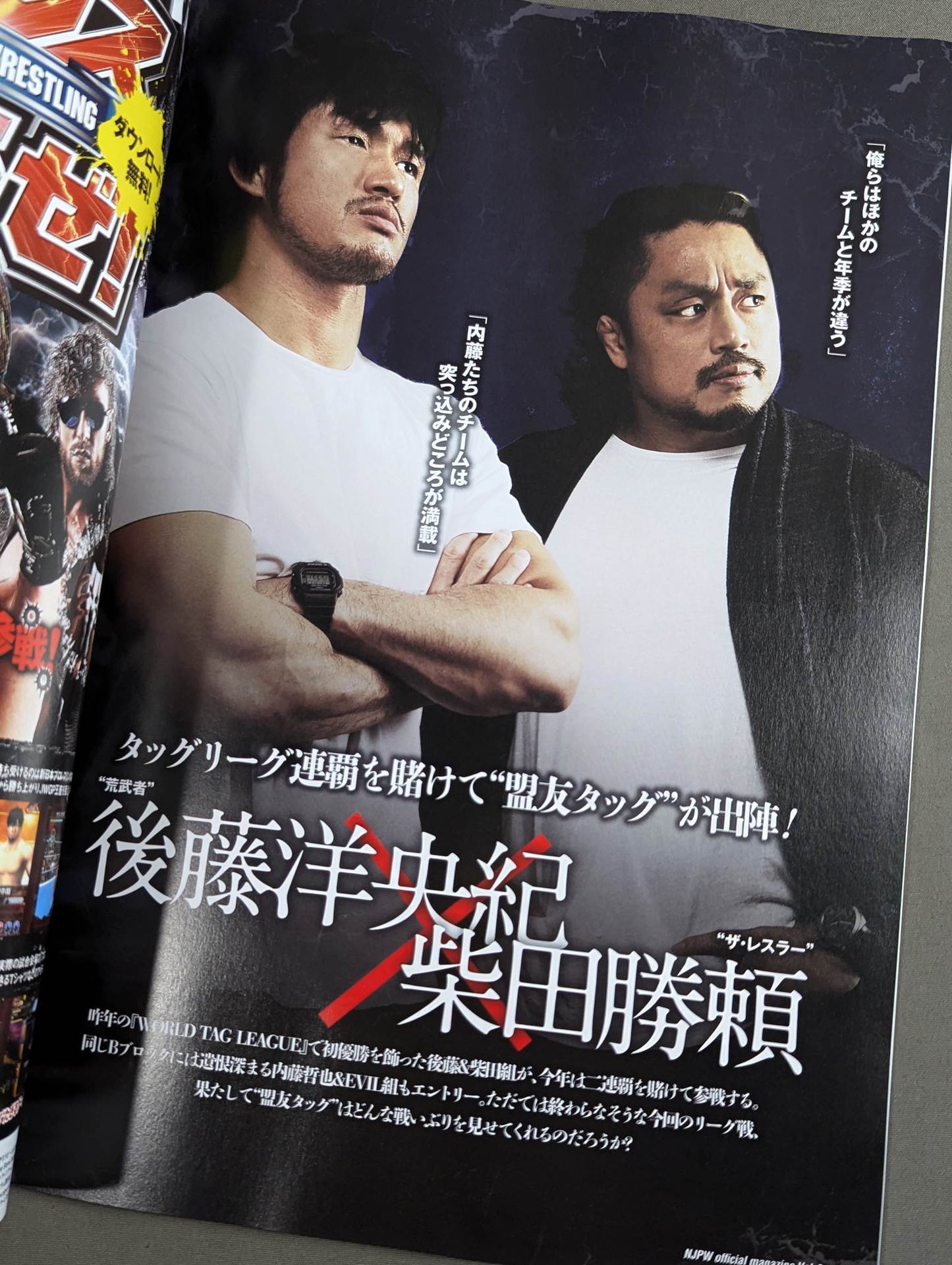 NJPW OFFICIAL MAGAZINE 2015 Vol.8