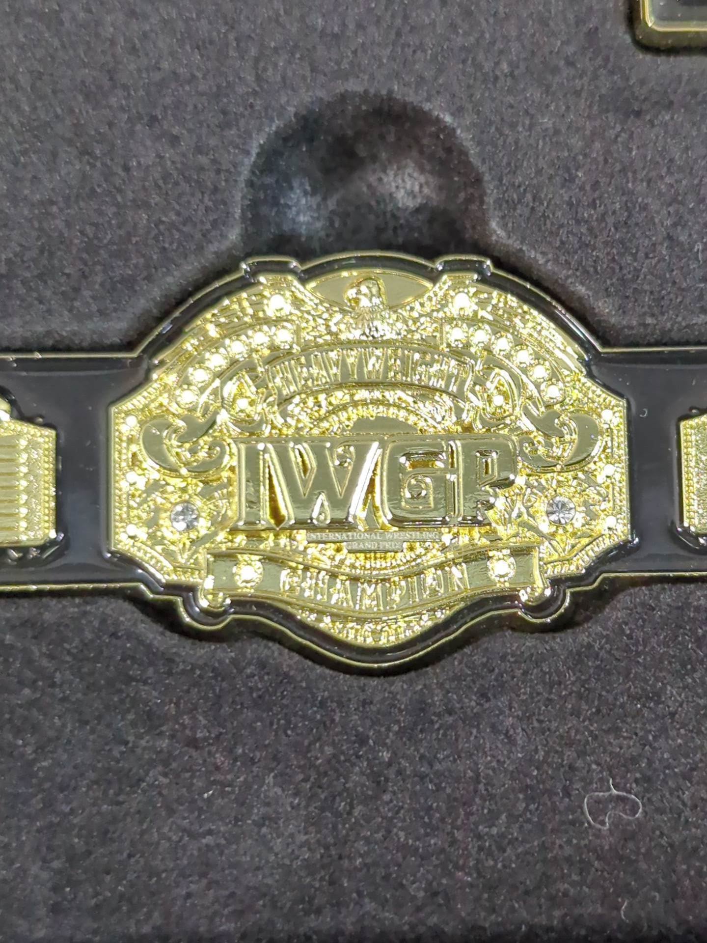 IWGP CHAMPION BELT ピンズコレクション(全5種)