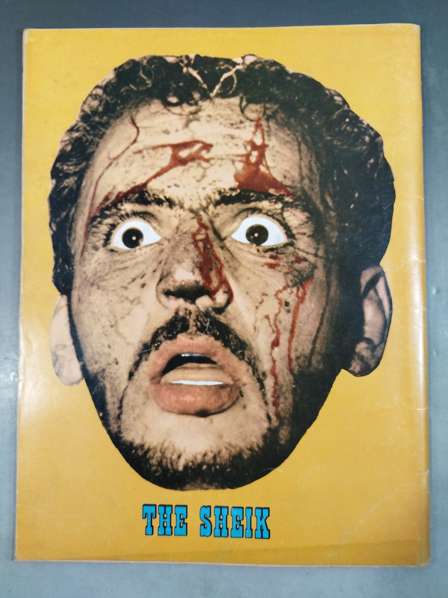 【3選手直筆サイン入り】Wrestling REVUE ALBUM OVER 100 OF YOUR FAVORITES