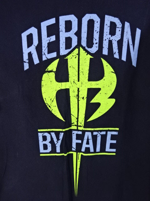 ハーディー・ボーイズ REBORN BY FATE Tシャツ