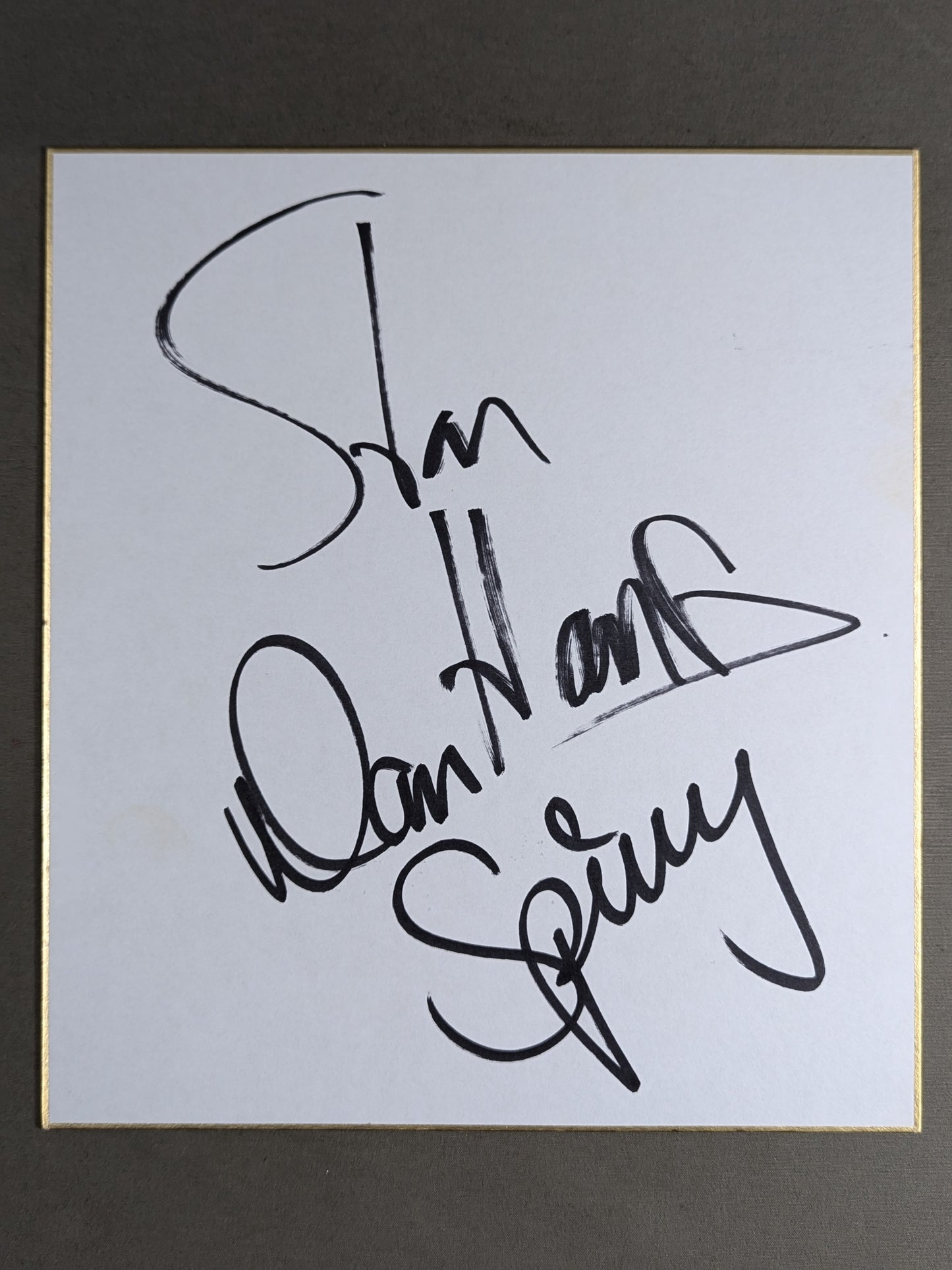 Stan Hansen & Dan Spivey (Danny Spivey)