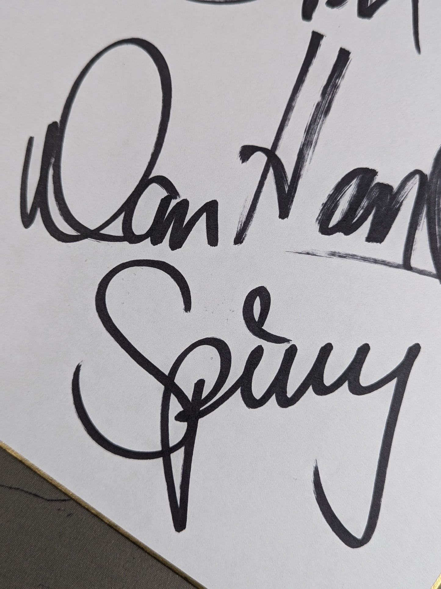 Stan Hansen & Dan Spivey (Danny Spivey)