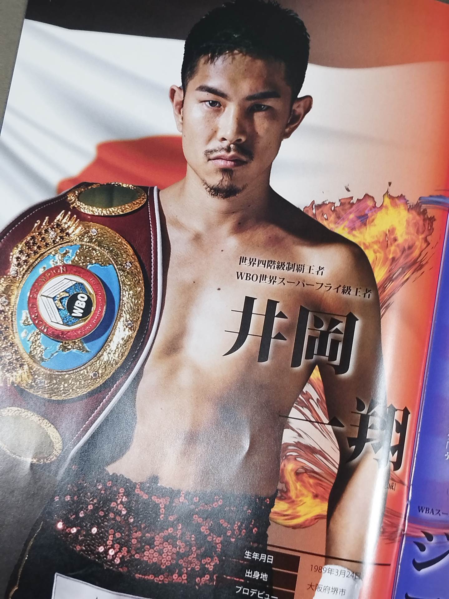 【WBA&WBC世界Sフライ級王座統一戦】井岡一翔vsフランコ