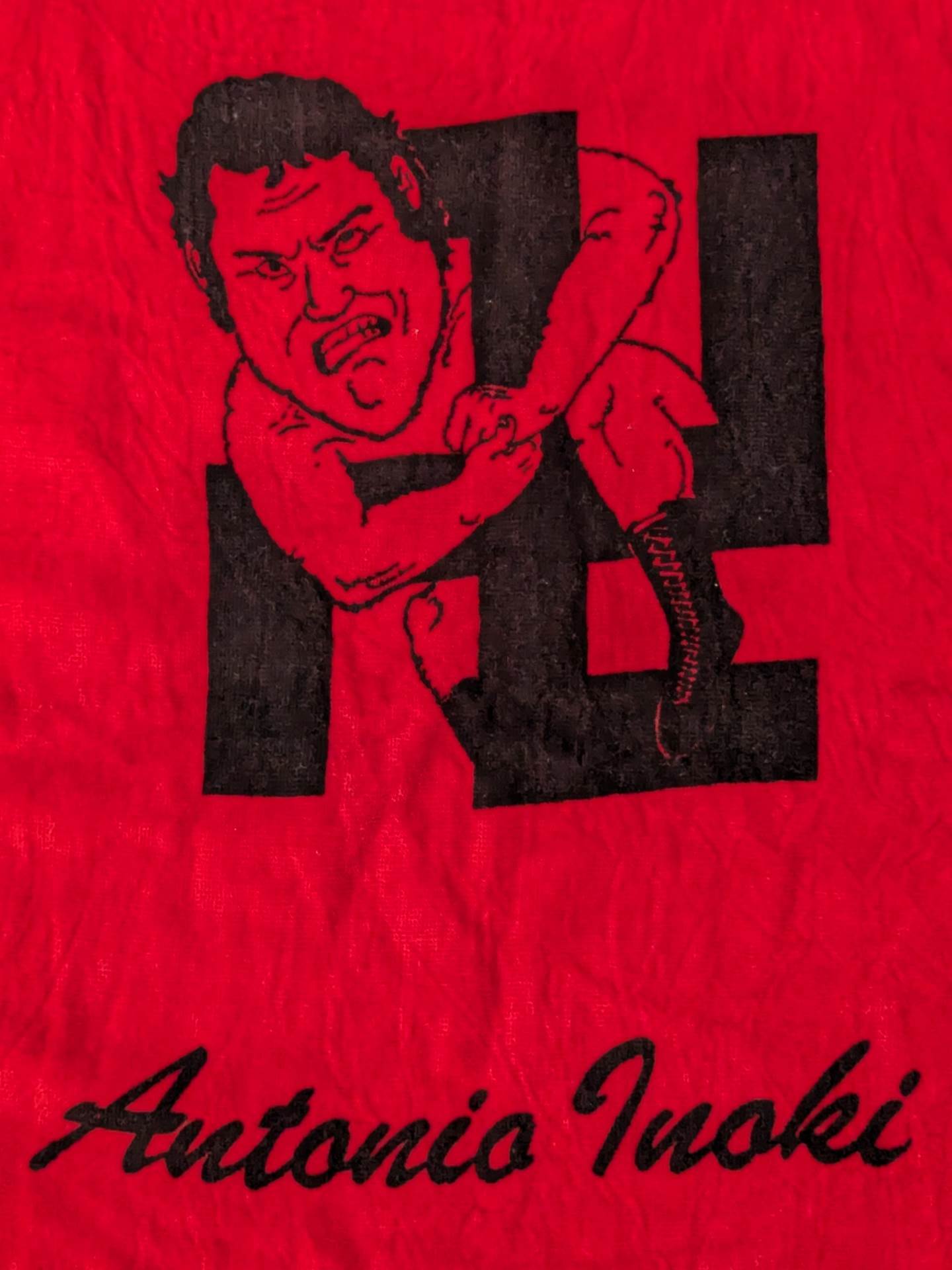 Antonio Inoki " Manjigatame " Illustrated Sports Towel