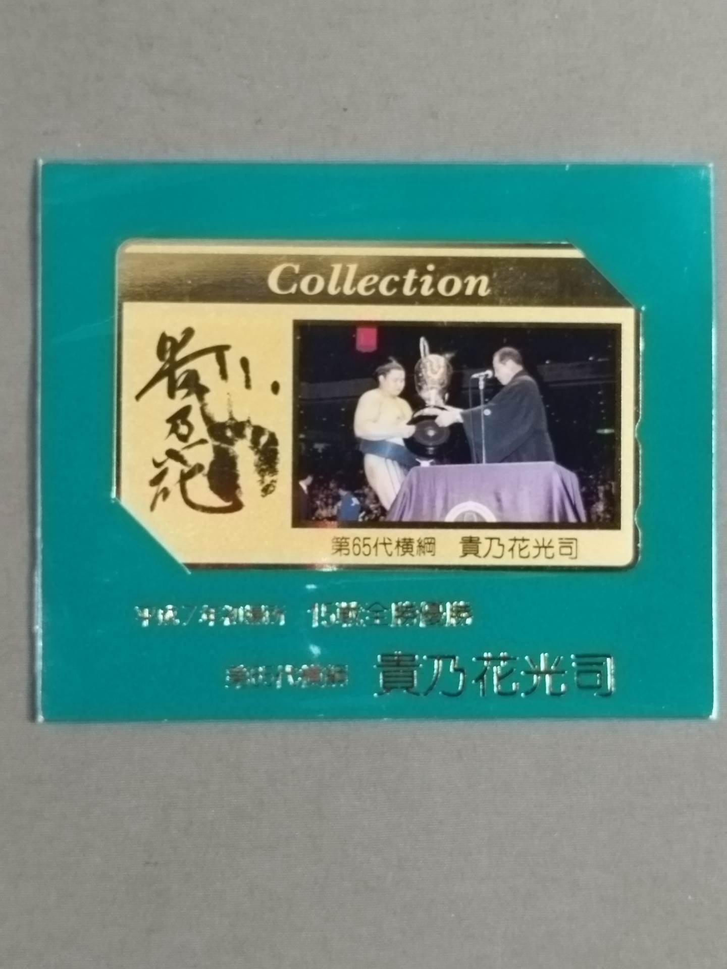 貴乃花光司 平成7年初場所 15戦全勝優勝