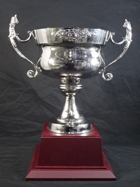 U-COSMOS Winner's Trophy
