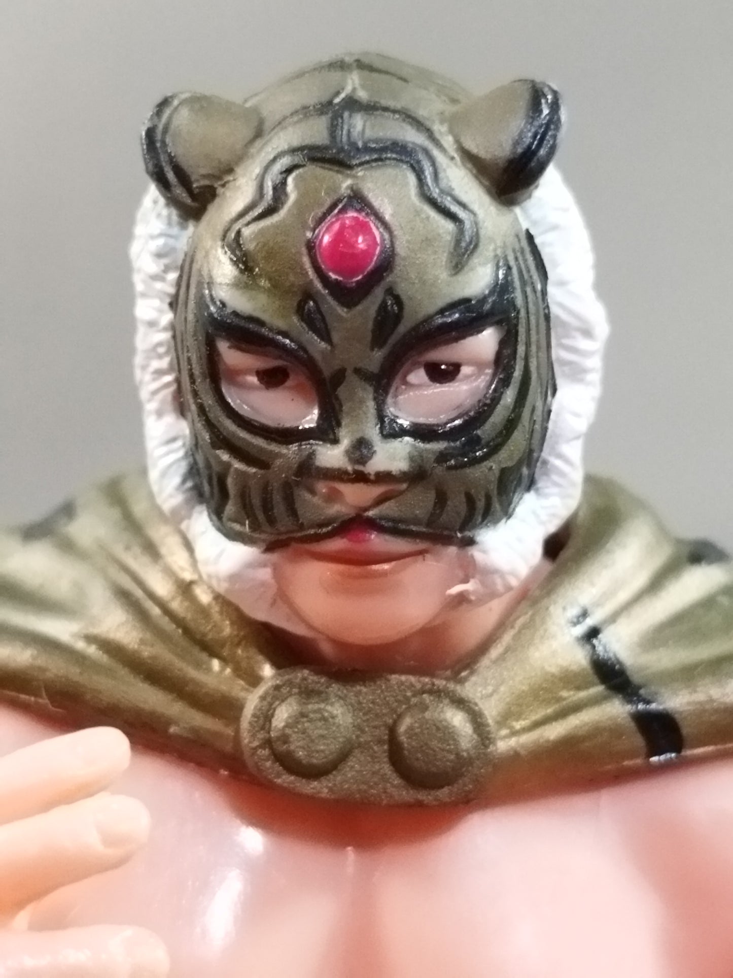 The first Tiger Mask (Legendary Type Cloak)