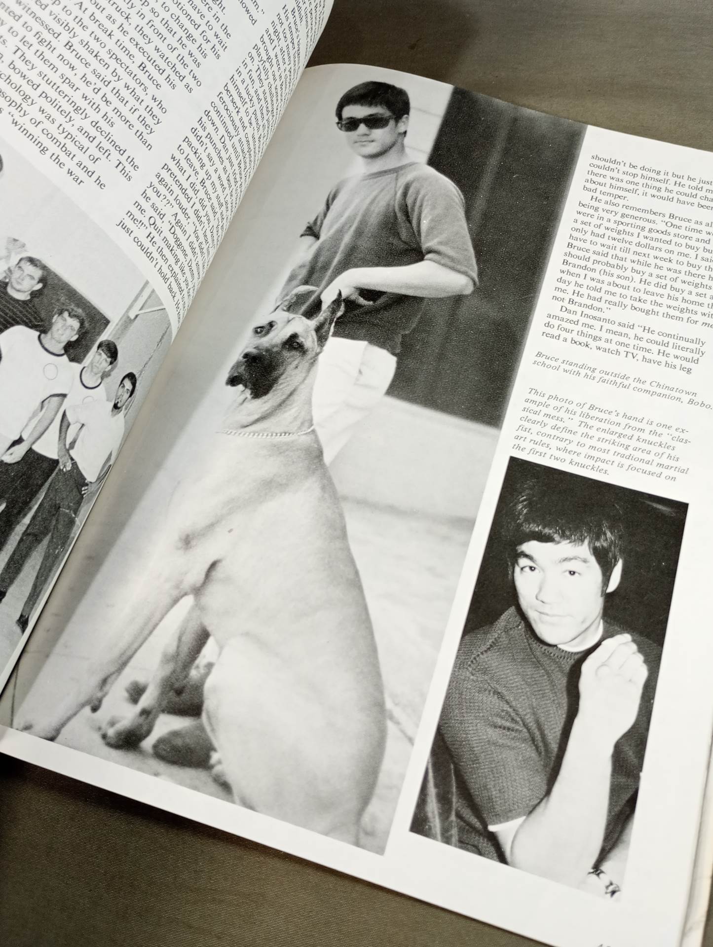 BRUCE LEE The Untold Story