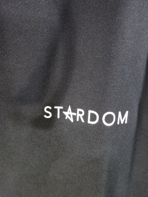 Stardom Logo Hoodie (1) (Black)