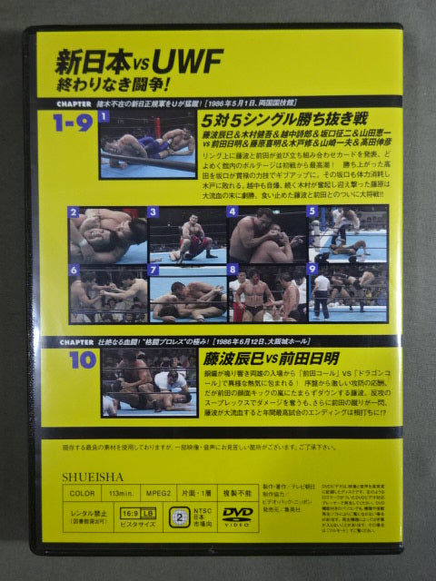 Burn! New Japan Pro Wrestling vol.22