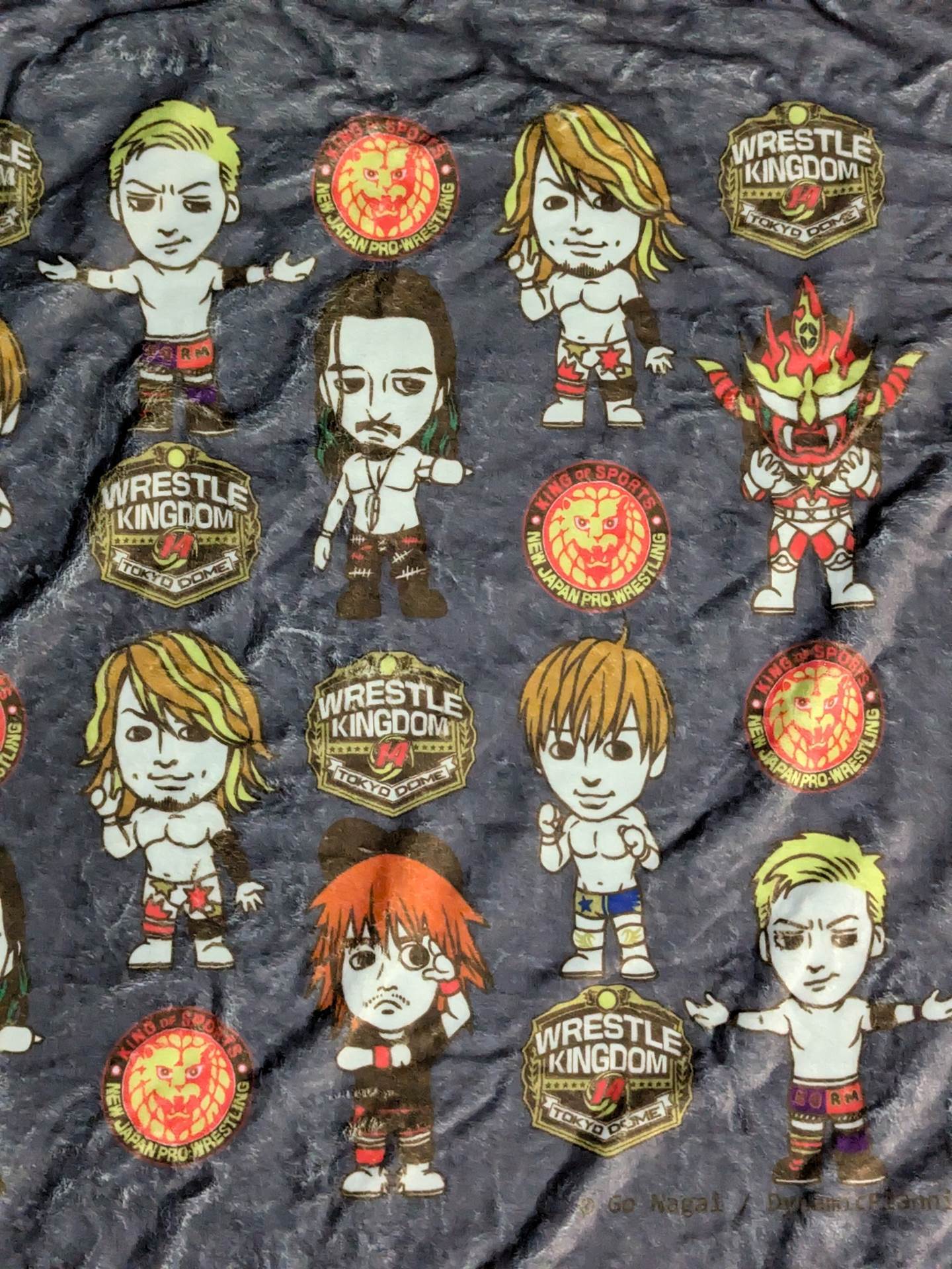★WRESTLE KINGDOM 14 "Ladies Seat" Viewing Bonus ★ Original Blanket
