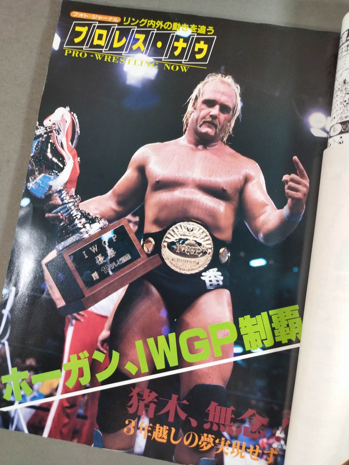 Fighting Spirit Special 2