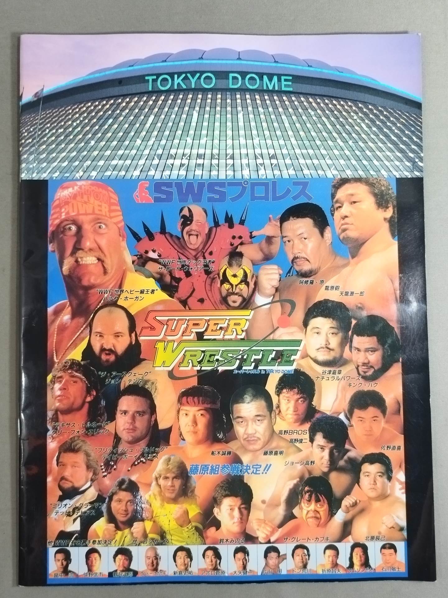 SWS / スーパーレッスル in TOKYO DOME