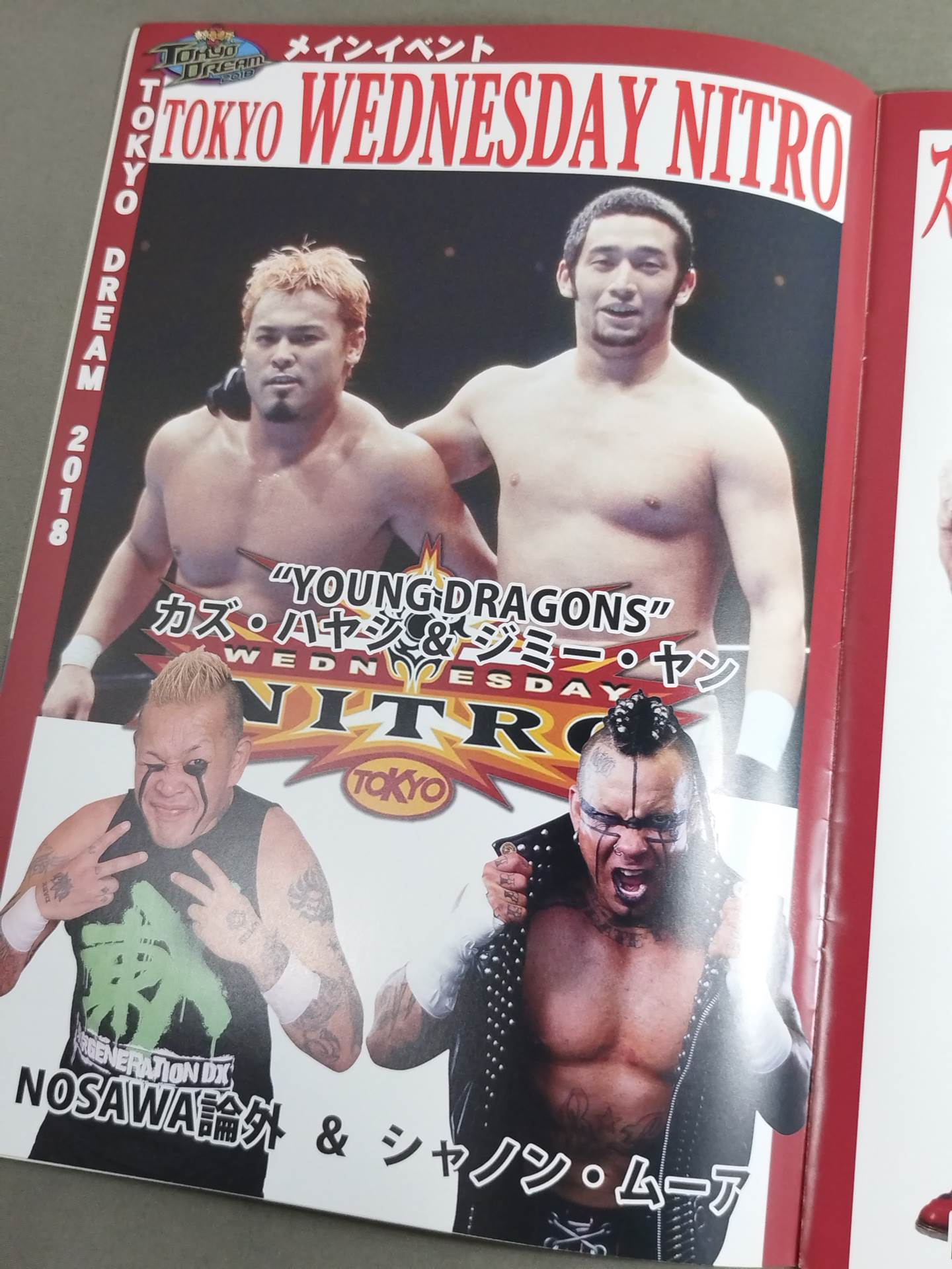【5名直筆サイン入り】TOKYO DREAM 2018 東京愚連隊 OFFICIAL GUIDE BOOK