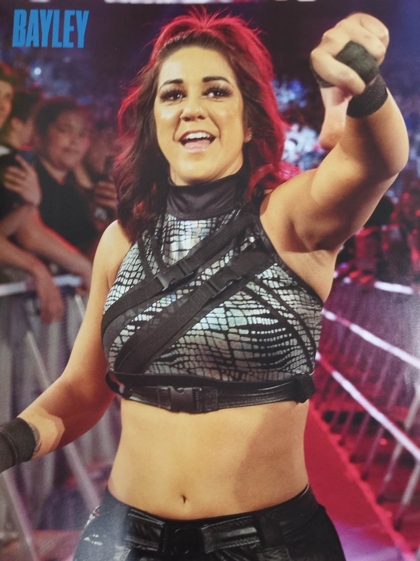 WWE OFFICIAL PROGRAM 2024