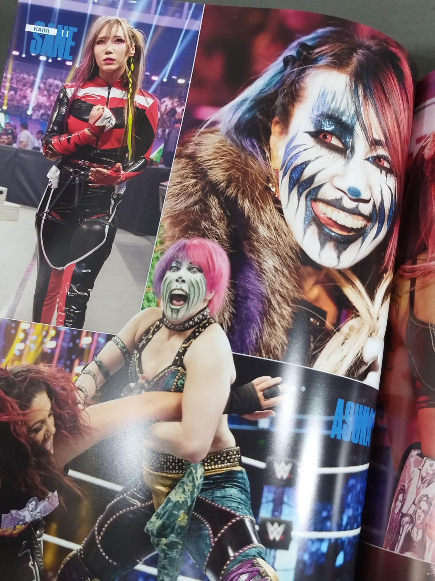 WWE OFFICIAL PROGRAM 2024