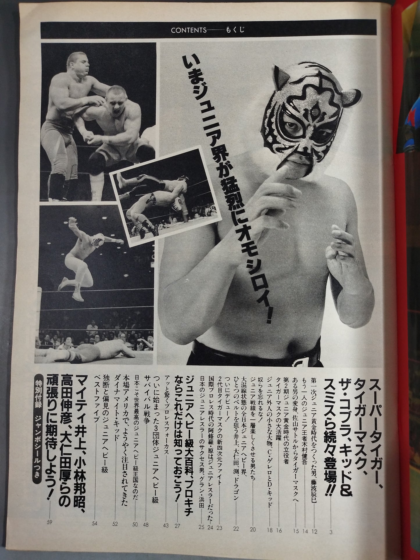 Pro Wrestling Album 49 Clash! Junior Heavyweight War