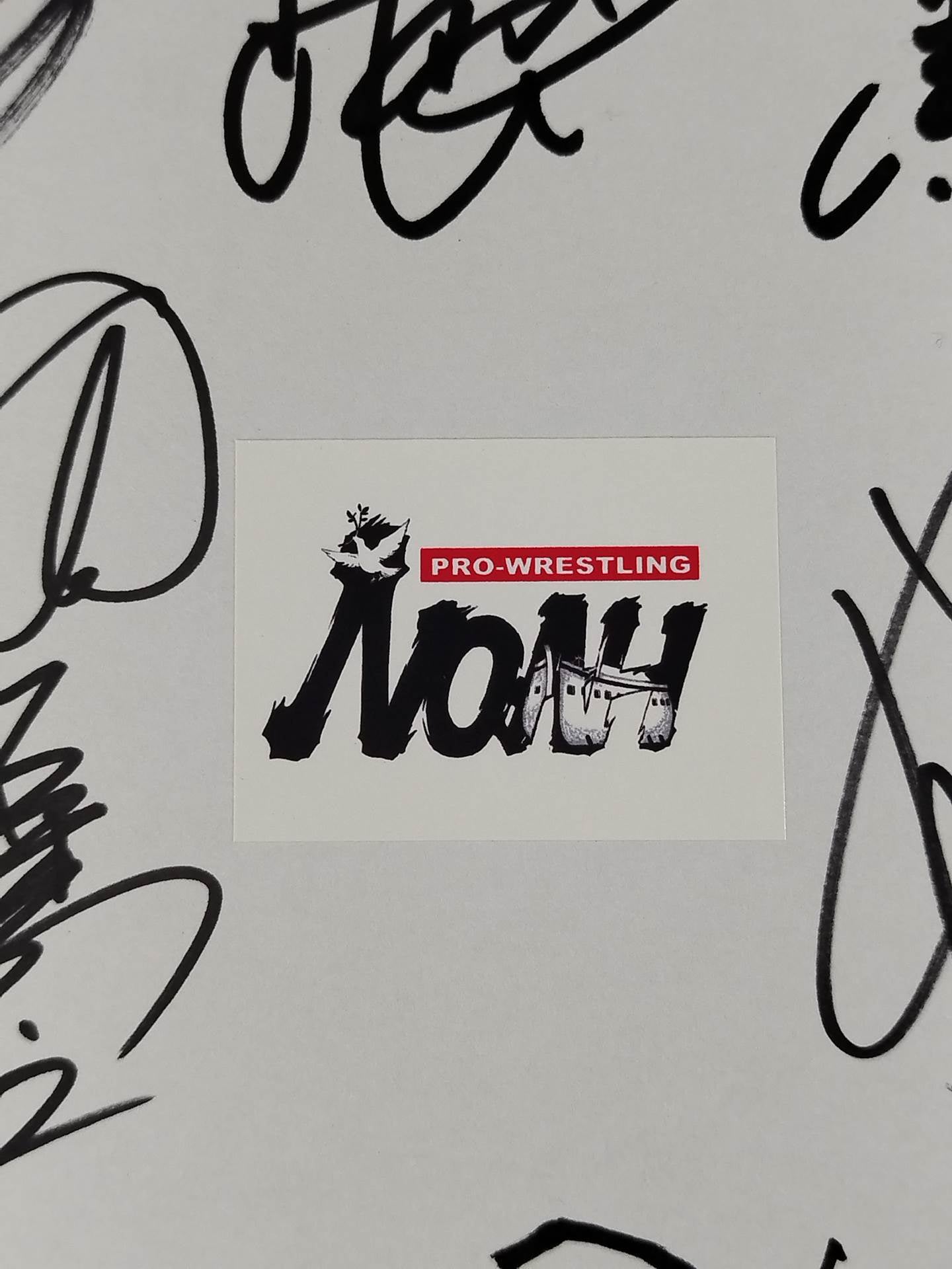 NOAH 17 fighters note (with logo sticker)
