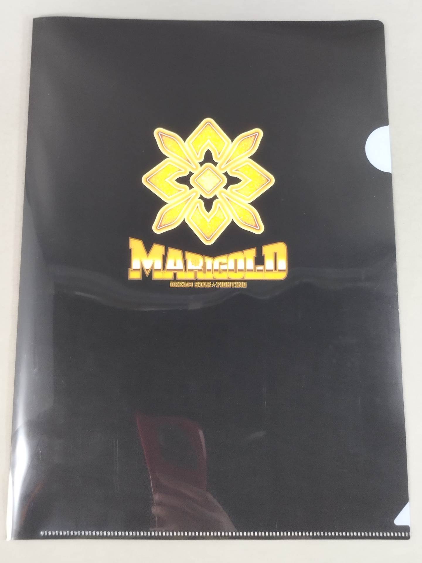 Amarei Kouki #9 Marigold plastic file folder