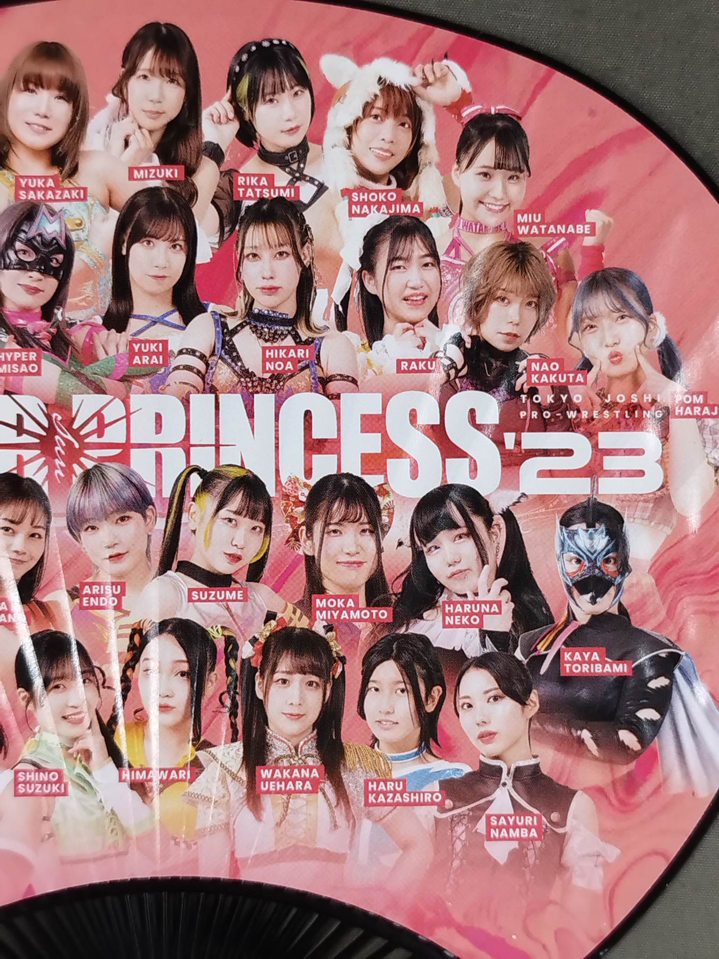 Tokyo Joshi Pro Wrestling "SUMMER PRINCESS '23" Mini Uchiwa (paper fan)