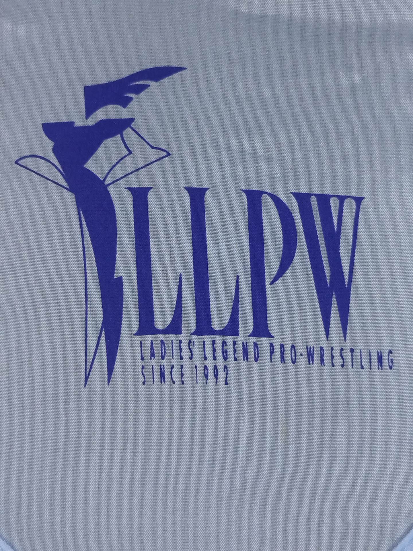 LLPW Folding Uchiwa (paper fan)