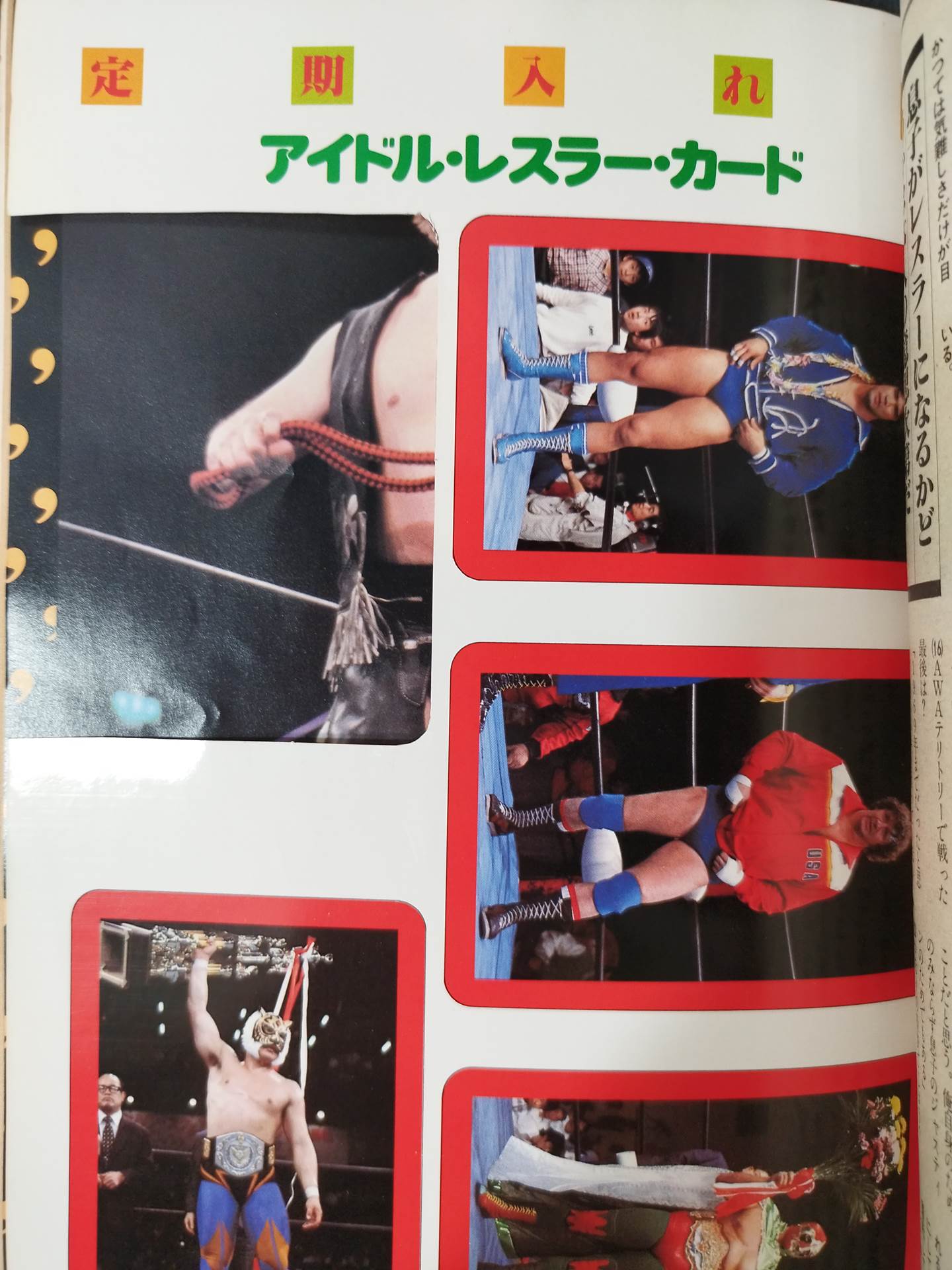 月刊プロレス 1982年6月号
