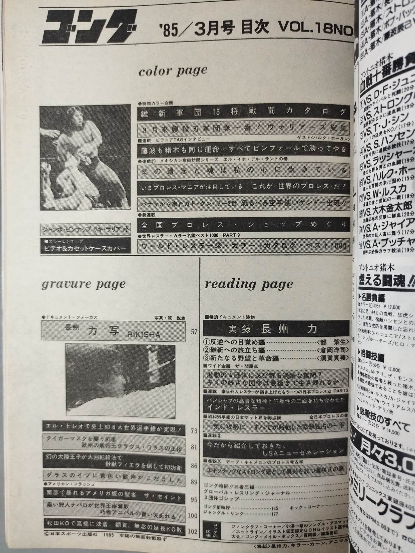 月刊ゴングVol.18 No.3