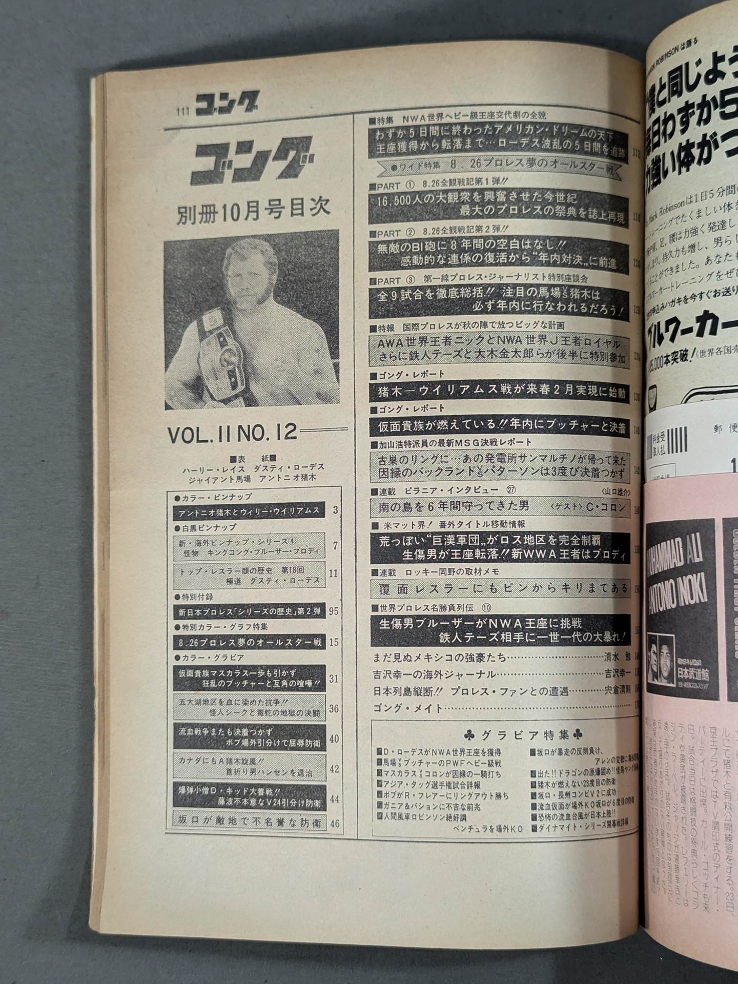 別冊ゴングVol.11 No.11
