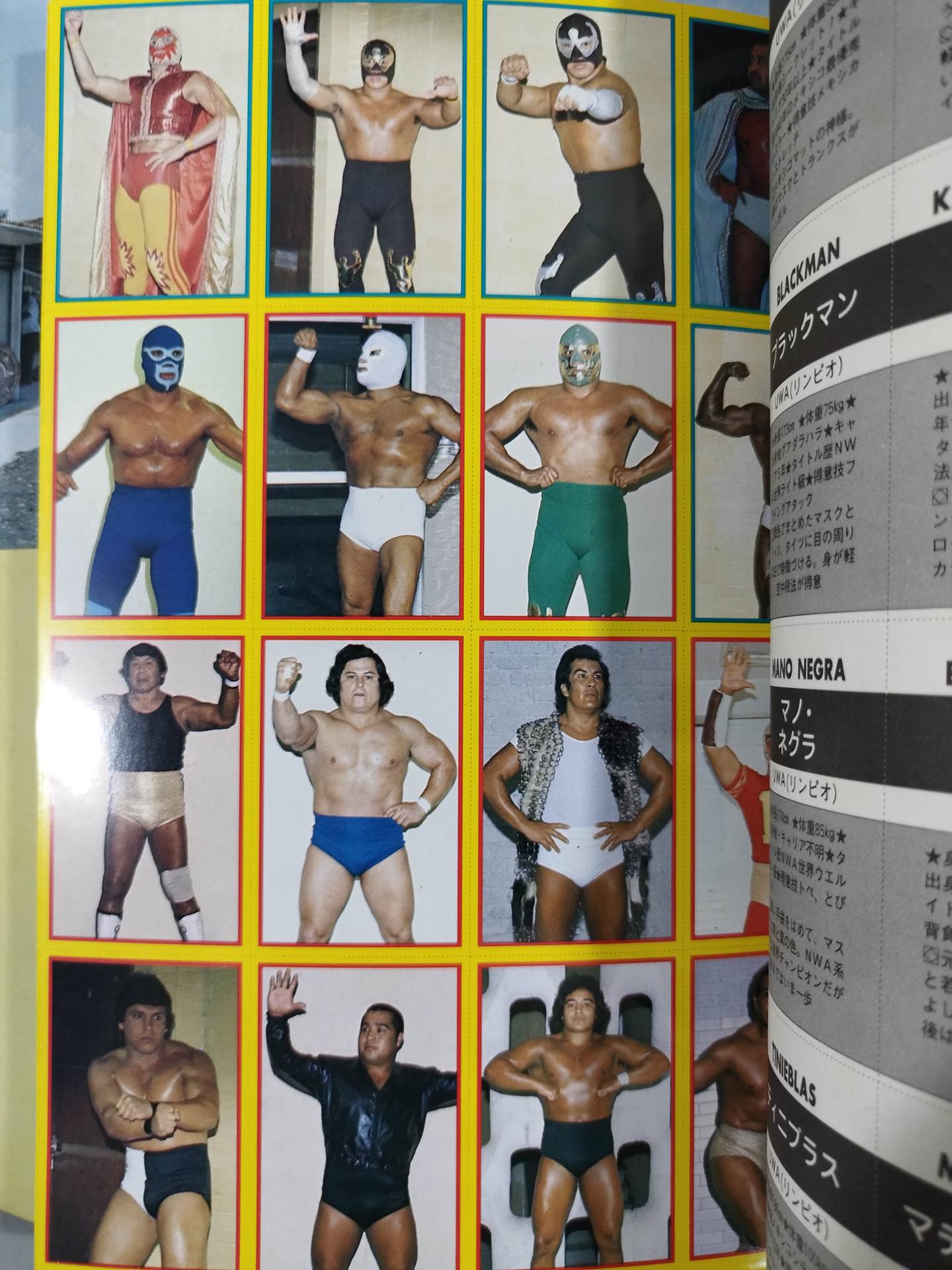 週刊プロレス別冊4 「VIVA!LUCHA LIBRE ビバ!ルチャ・リブレ」