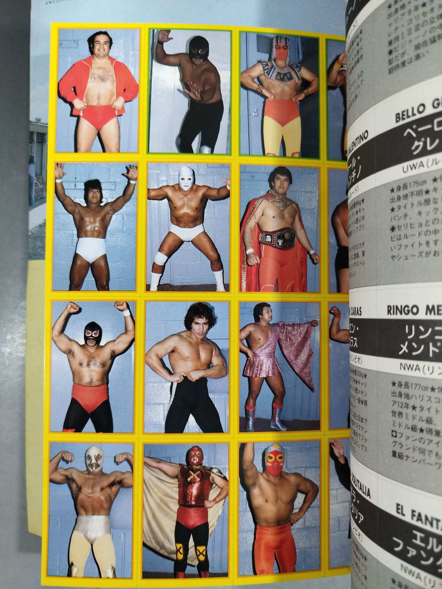 週刊プロレス別冊4 「VIVA!LUCHA LIBRE ビバ!ルチャ・リブレ」