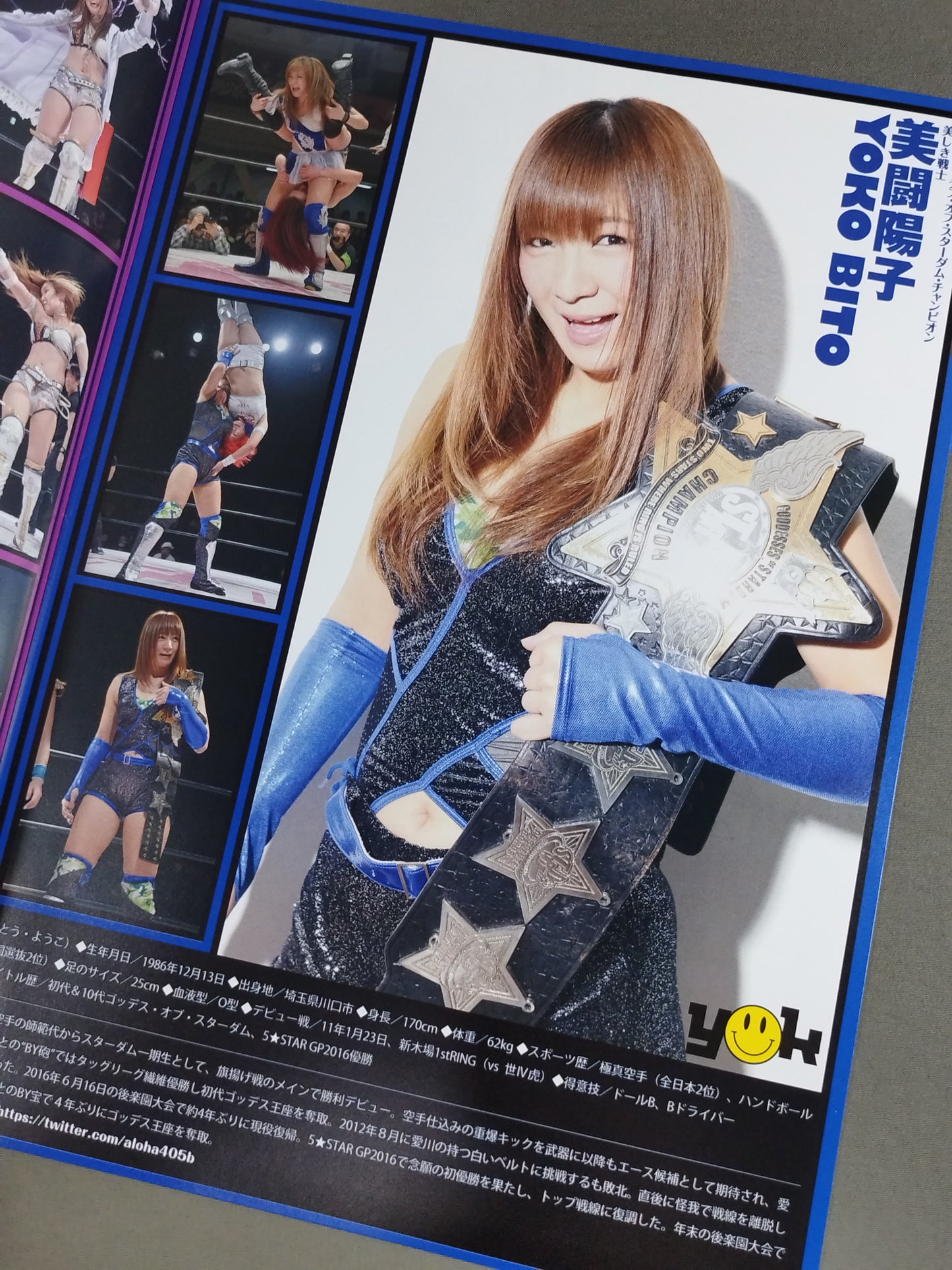 STARDOM OFFICIAL GUIDE BOOK Vol.89