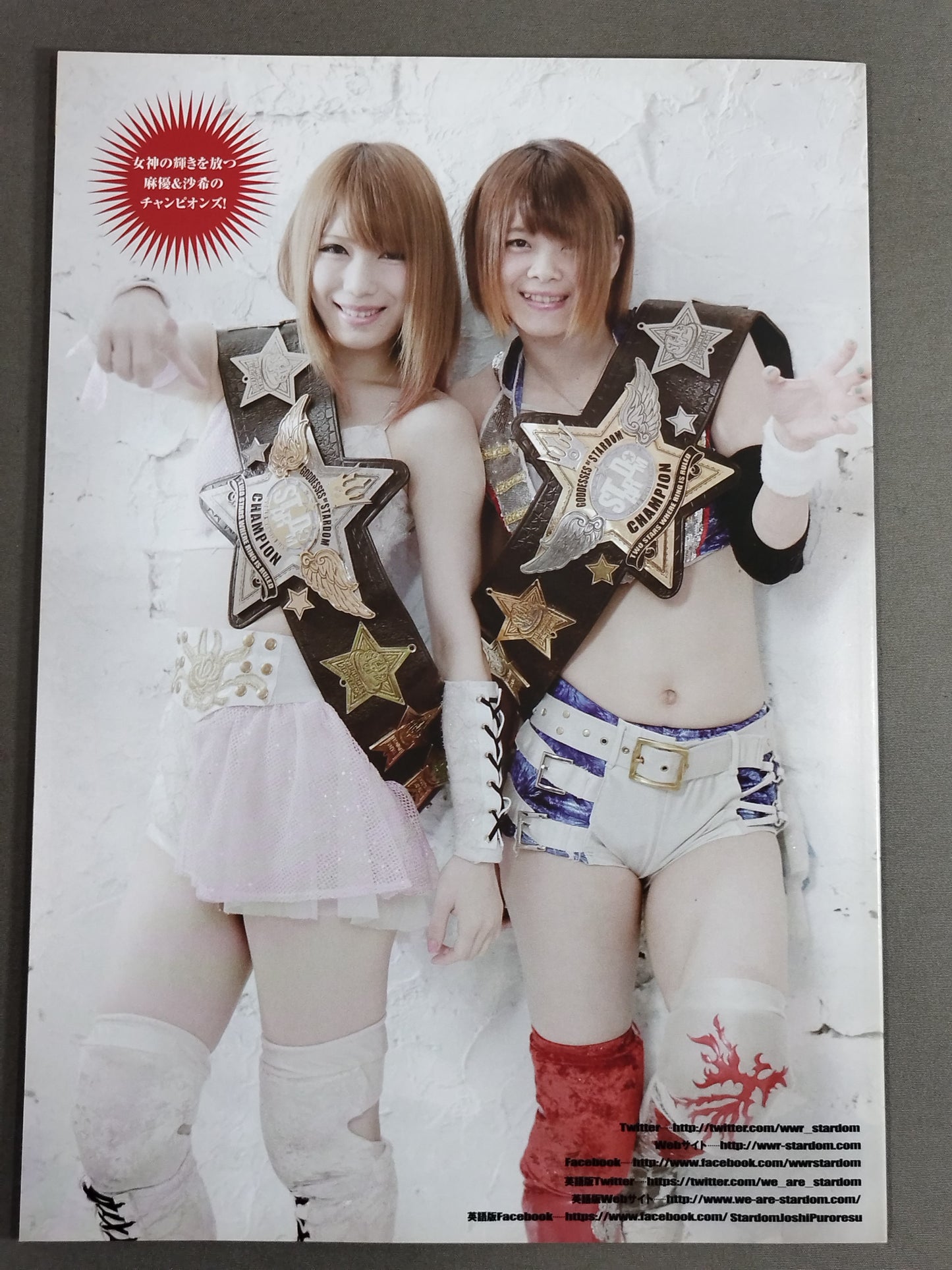 STARDOM OFFICIAL GUIDE BOOK Vol.110