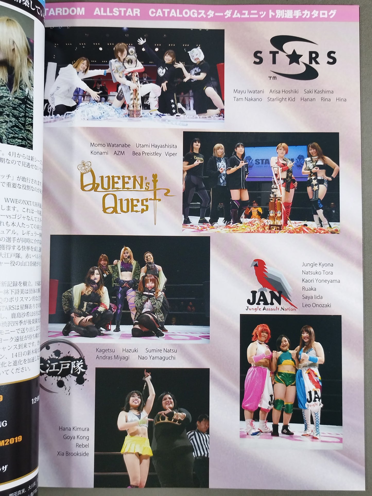 STARDOM OFFICIAL GUIDE BOOK Vol.118
